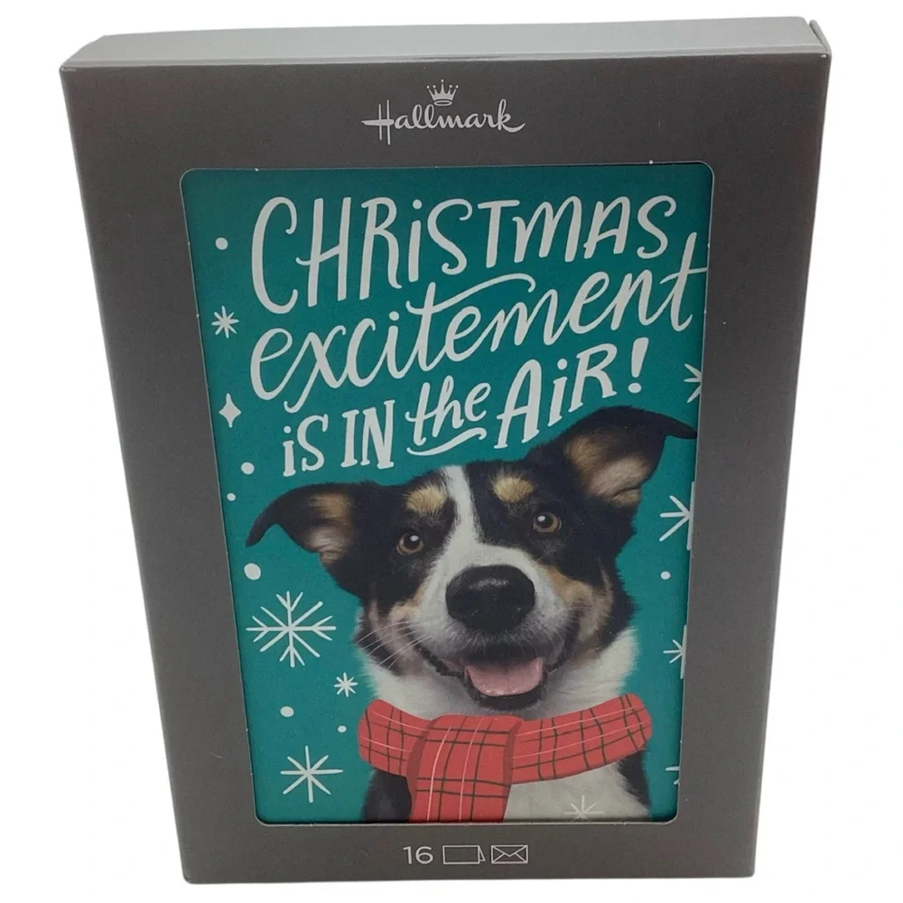 Hallmark “Christmas Excitement is in the Air!” Boxed Christmas Cards, Pack of 16